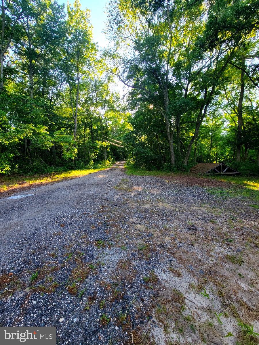 50 Newell Road Heislerville, NJ 08324 - Photo 5 of 10 Gallery Image 5