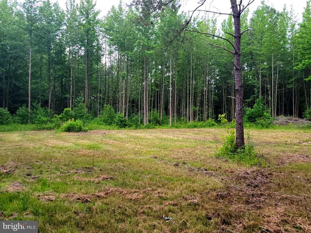 50 Newell Road Heislerville, NJ 08324 - Photo 6 of 10 Gallery Image 6