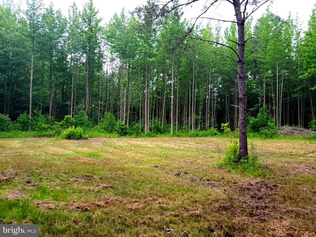 50 Newell Road Heislerville, NJ 08324 - Photo 10 of 10 Gallery Image 10