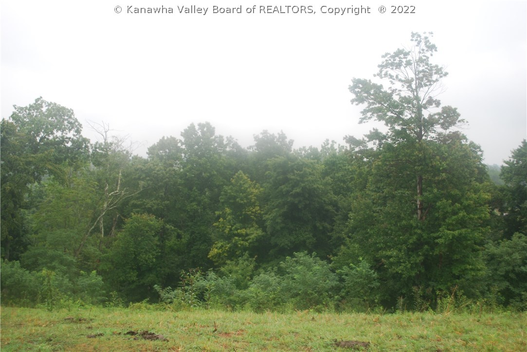 0 Jeffers Ridge Road Southside, WV 25187 - Photo 3 of 6 Gallery Image 3