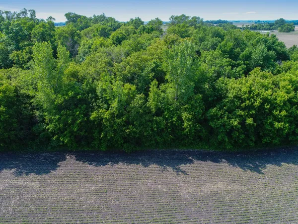 $496,000 | 6580 Tower Road Southwest, Kensington, MN 56343