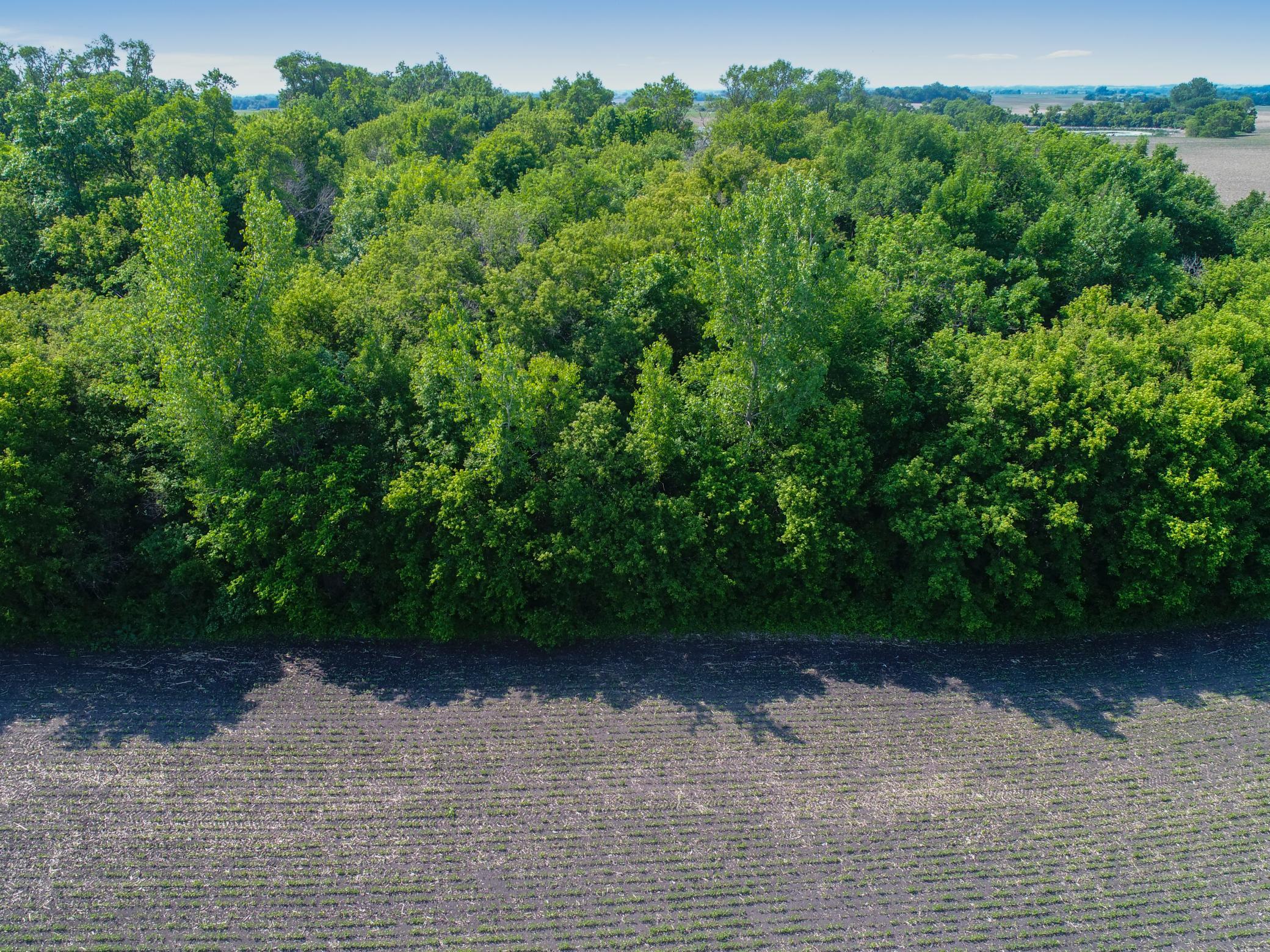 6580 Tower Road Southwest Kensington, MN 56343 - Photo 79 of 82