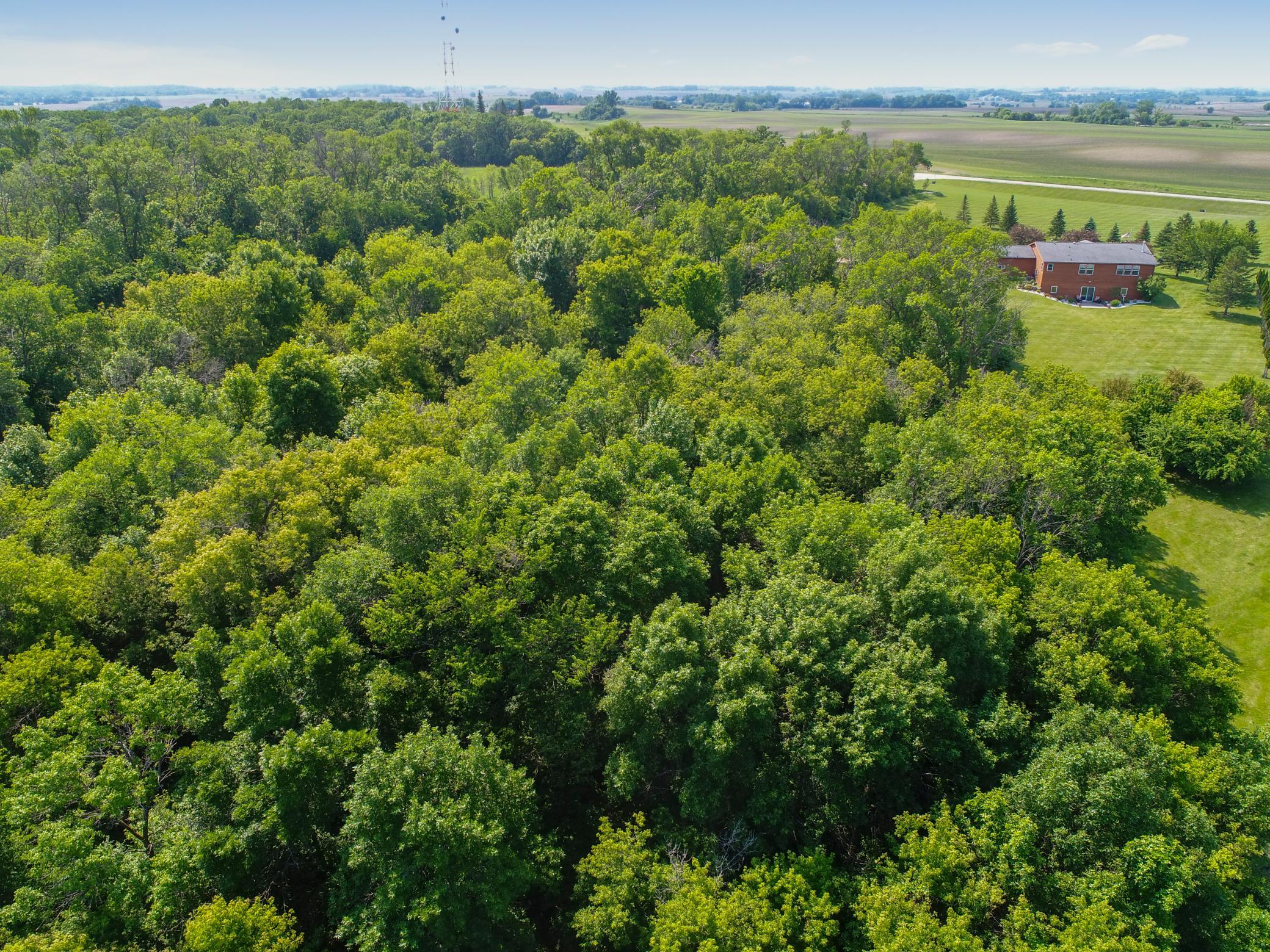 6580 Tower Road Southwest Kensington, MN 56343 - Photo 80 of 82