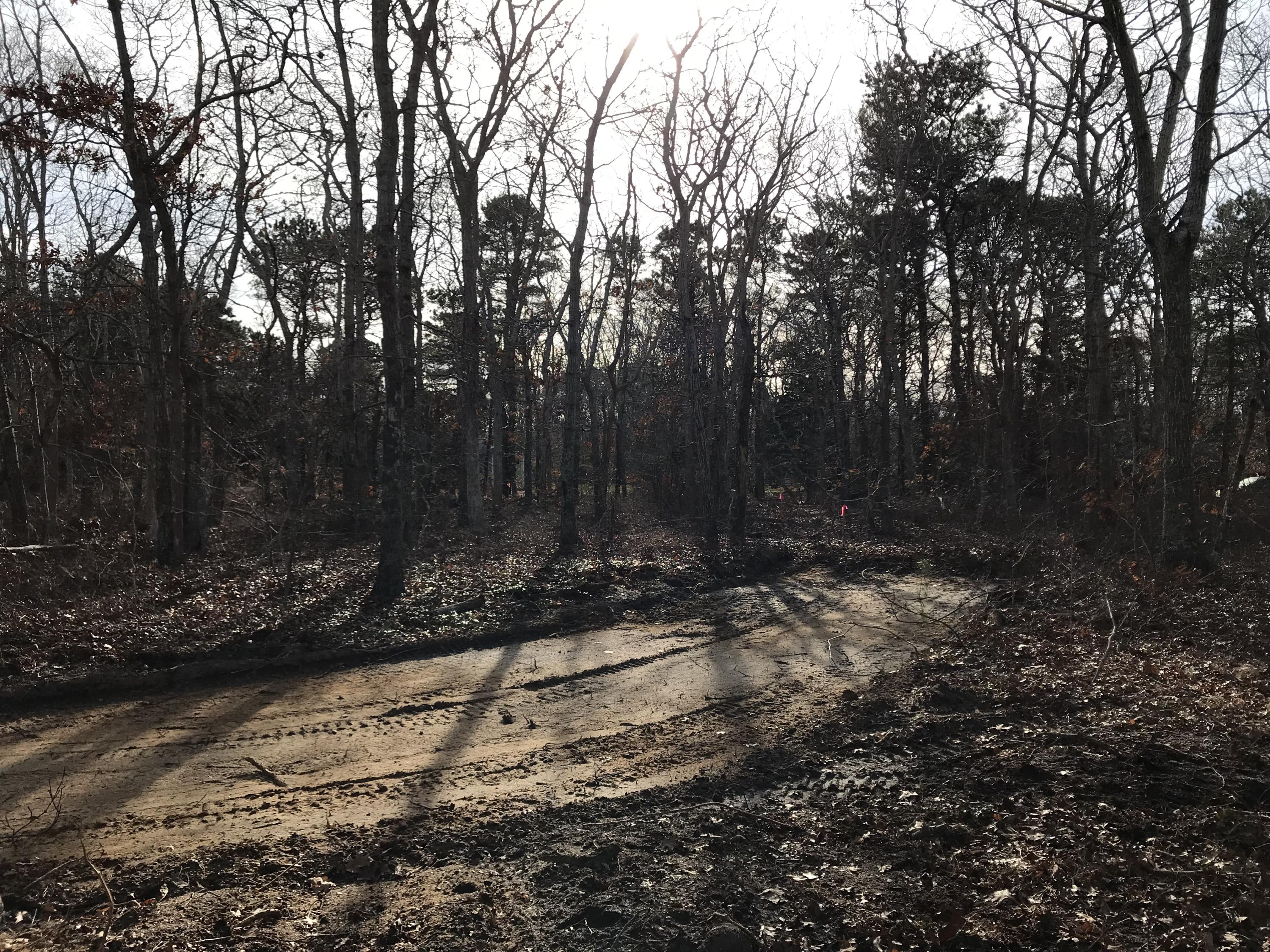 745 Massasoit Road Eastham, MA 02642 - Photo 1 of 4 IMG_0160
