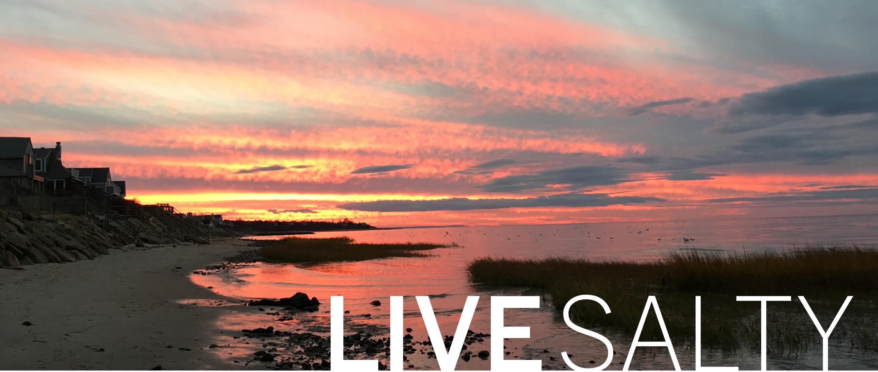745 Massasoit Road Eastham, MA 02642 - Photo 3 of 4 LIVE Ads v3 horizontal