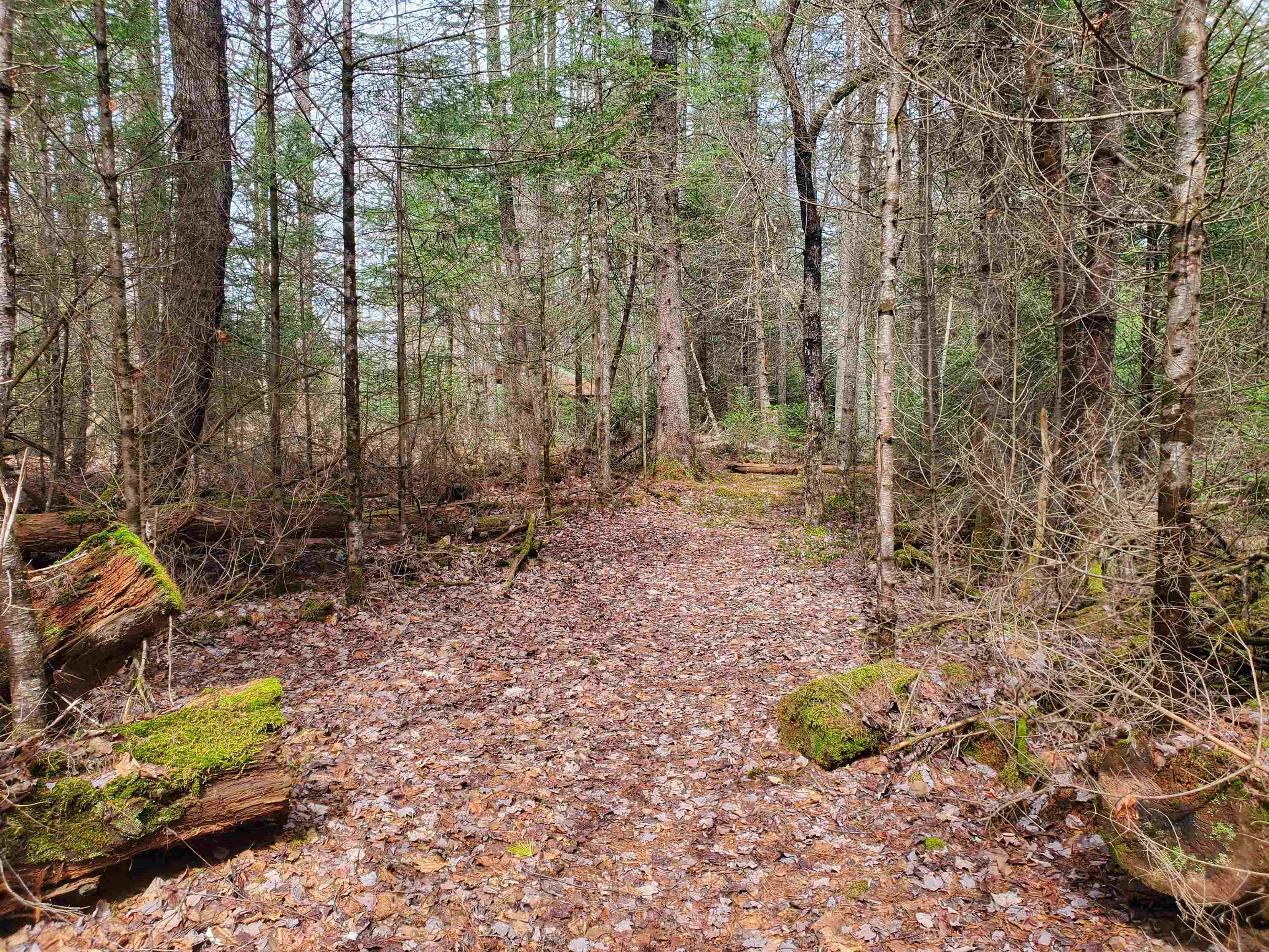 405-80 Cherry Valley Road Bethlehem, NH 03574 - Photo 13 of 22