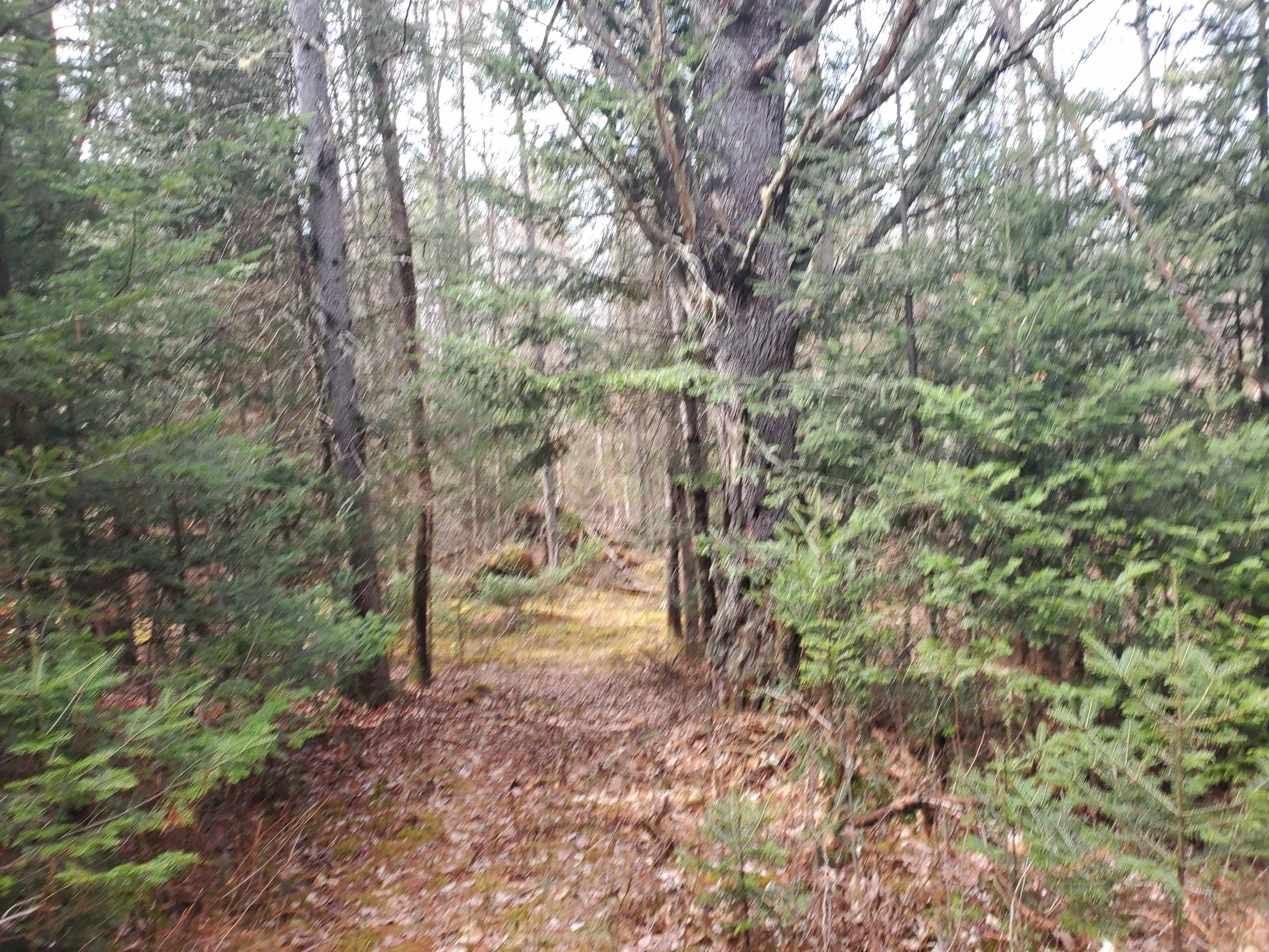 405-80 Cherry Valley Road Bethlehem, NH 03574 - Photo 14 of 22