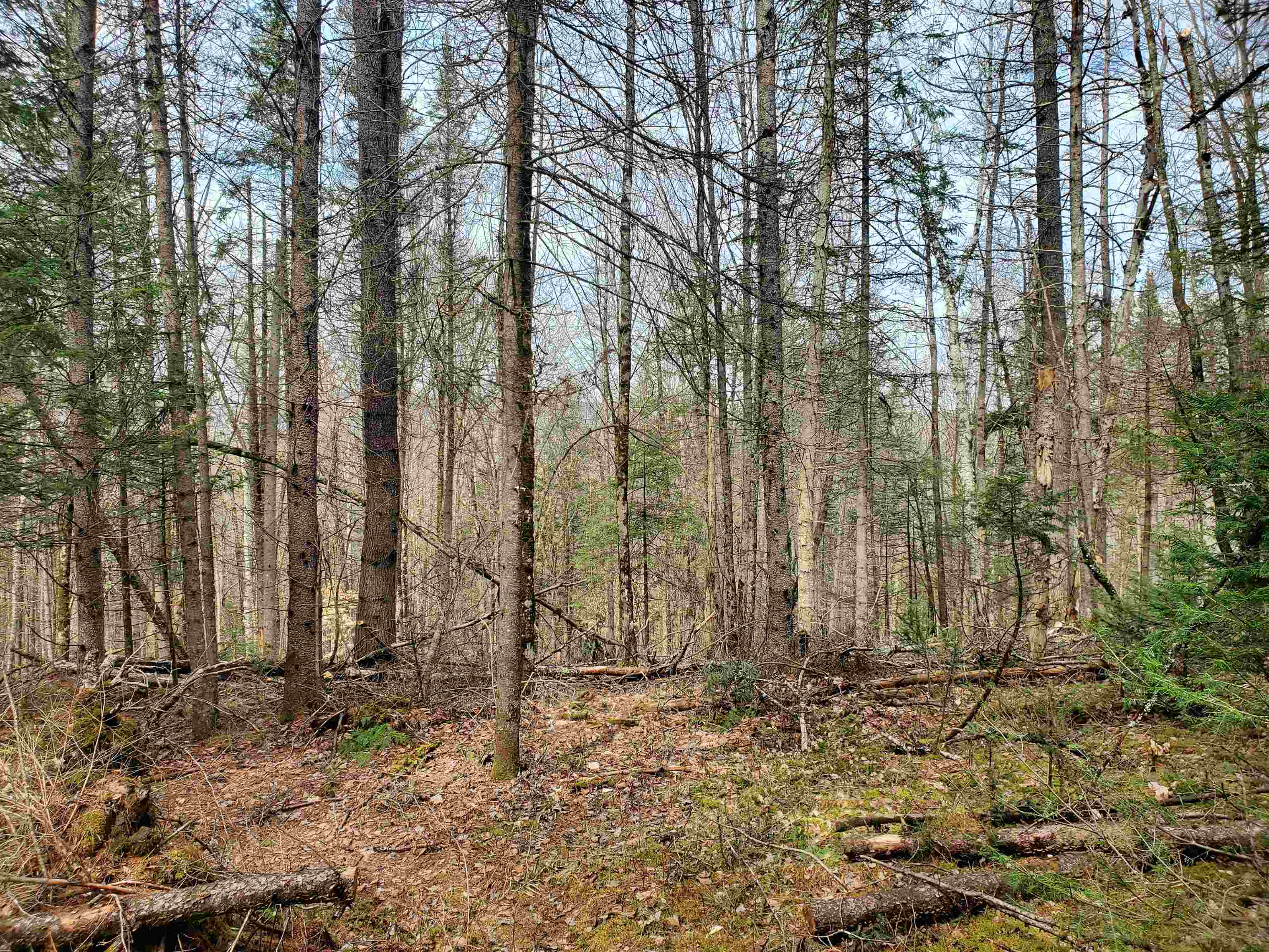 405-80 Cherry Valley Road Bethlehem, NH 03574 - Photo 15 of 22