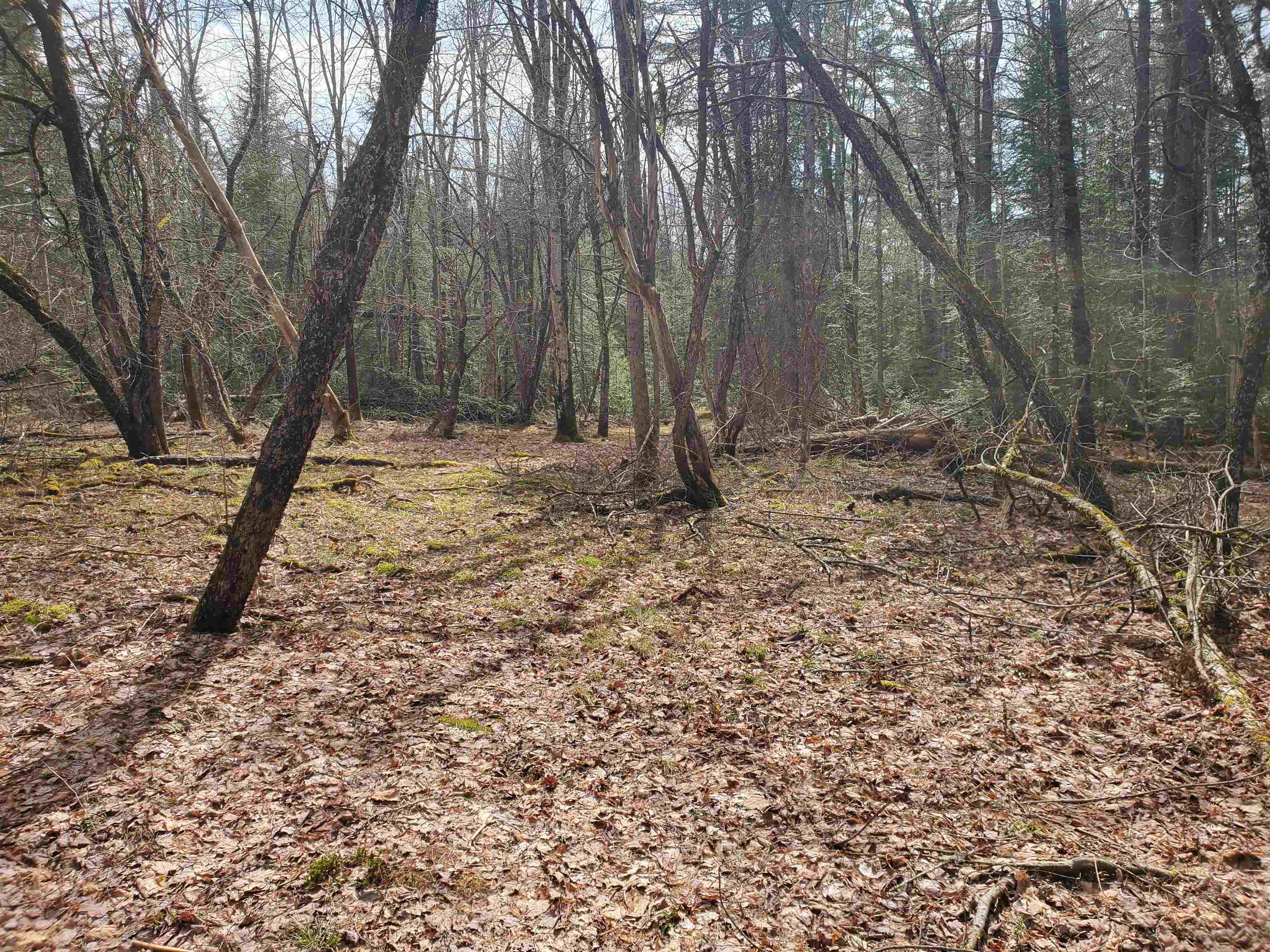 405-80 Cherry Valley Road Bethlehem, NH 03574 - Photo 19 of 22
