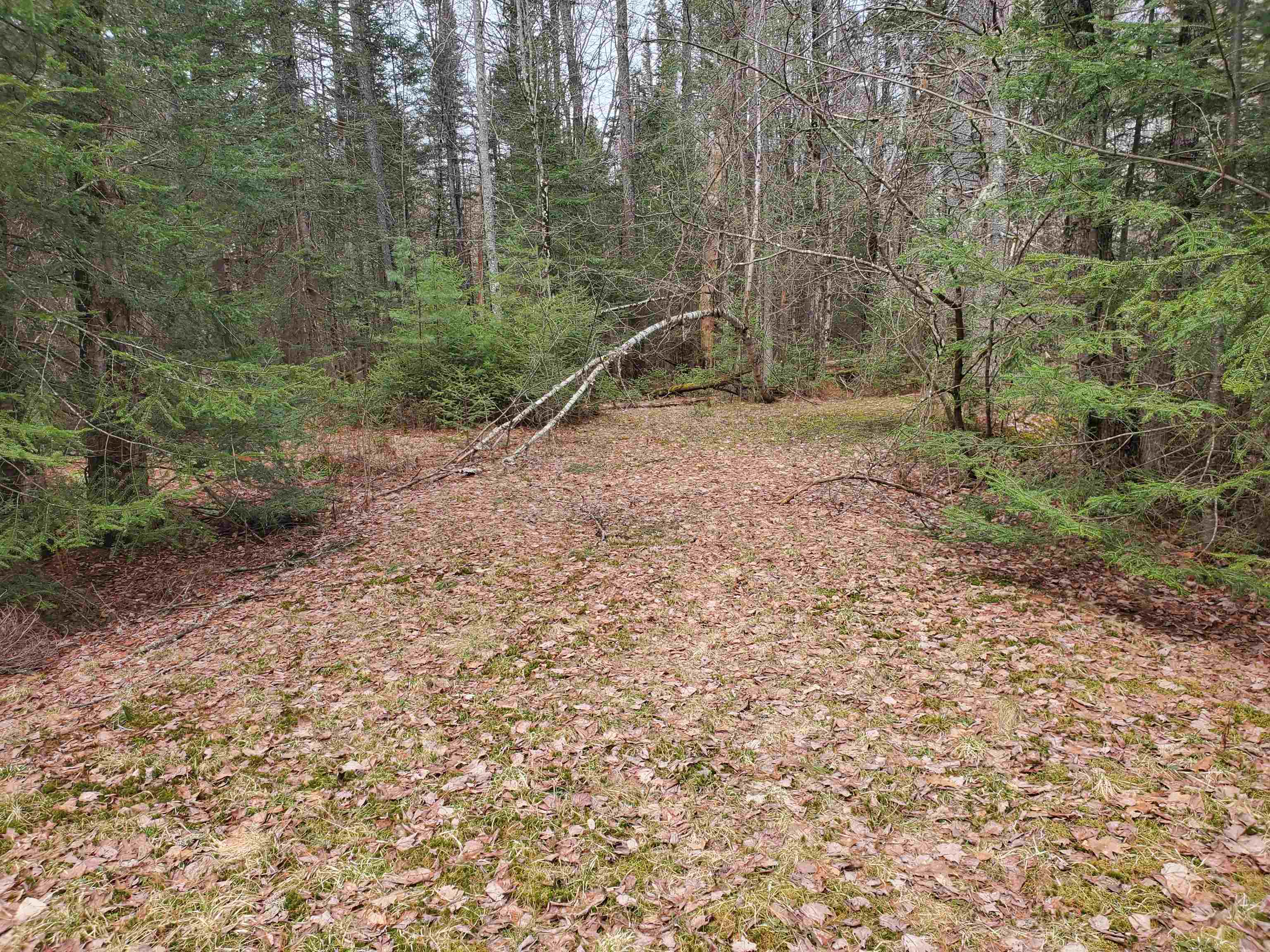 405-80 Cherry Valley Road Bethlehem, NH 03574 - Photo 2 of 22