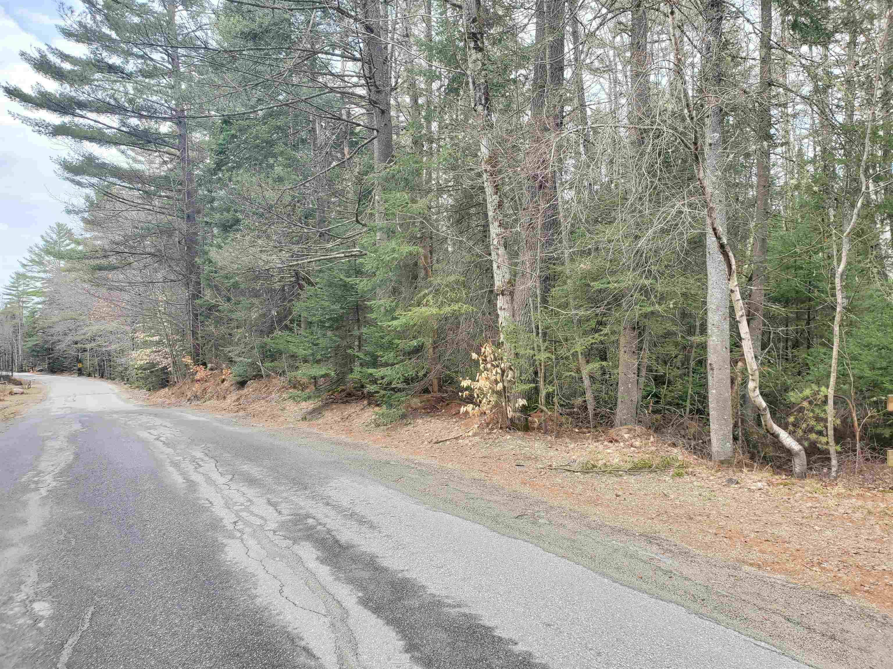 405-80 Cherry Valley Road Bethlehem, NH 03574 - Photo 21 of 22