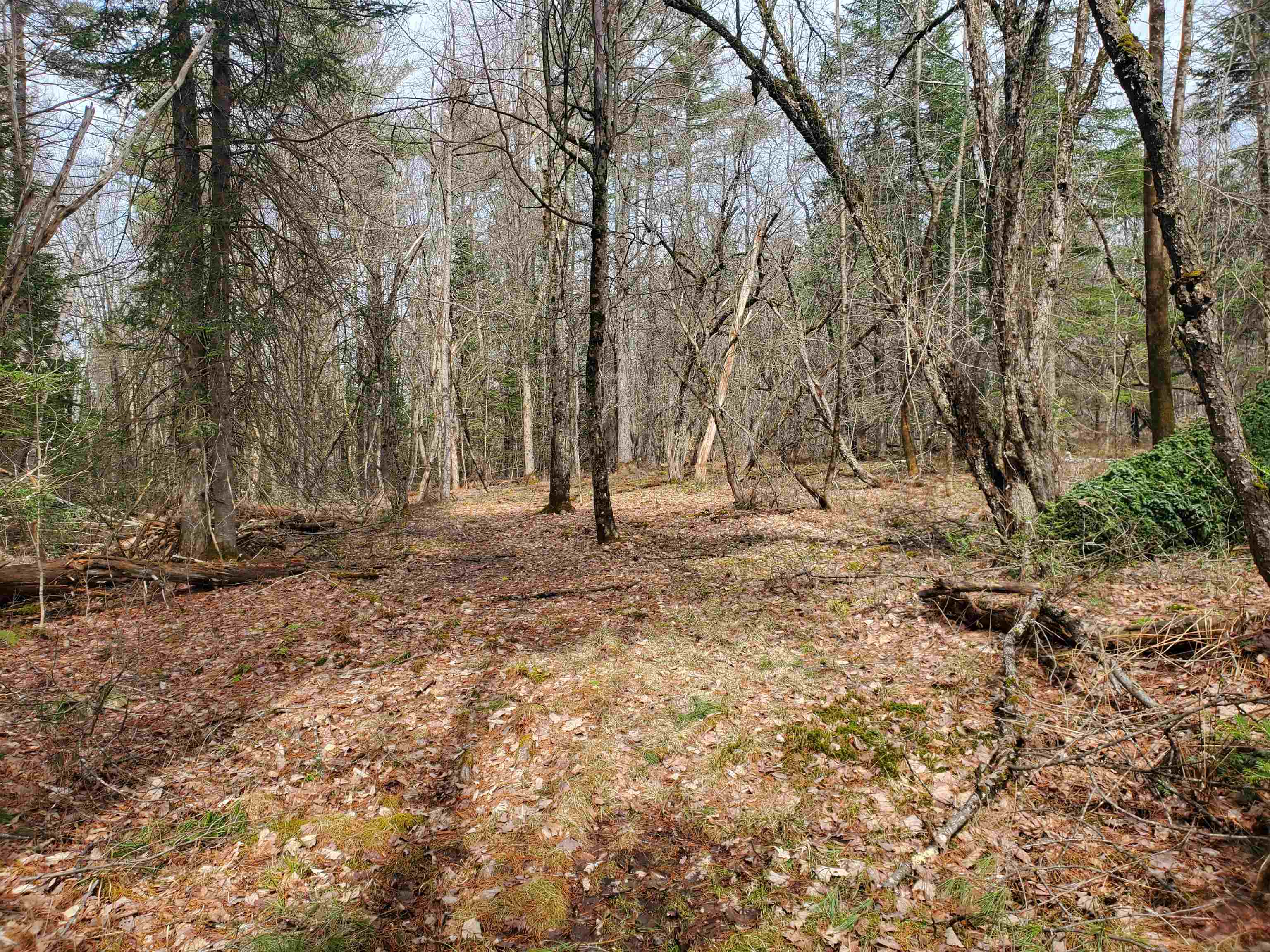 405-80 Cherry Valley Road Bethlehem, NH 03574 - Photo 7 of 22