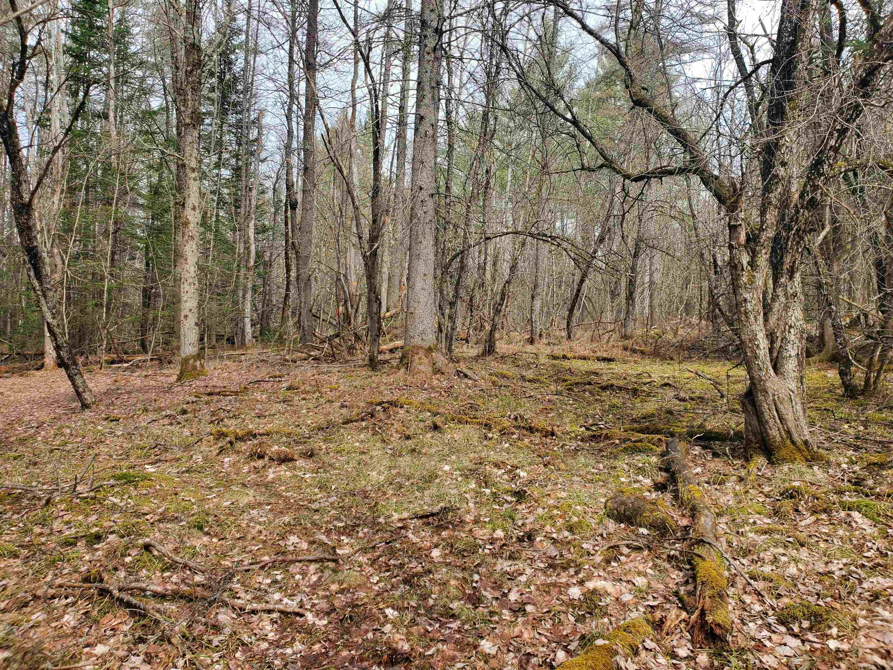 405-80 Cherry Valley Road Bethlehem, NH 03574 - Photo 8 of 22