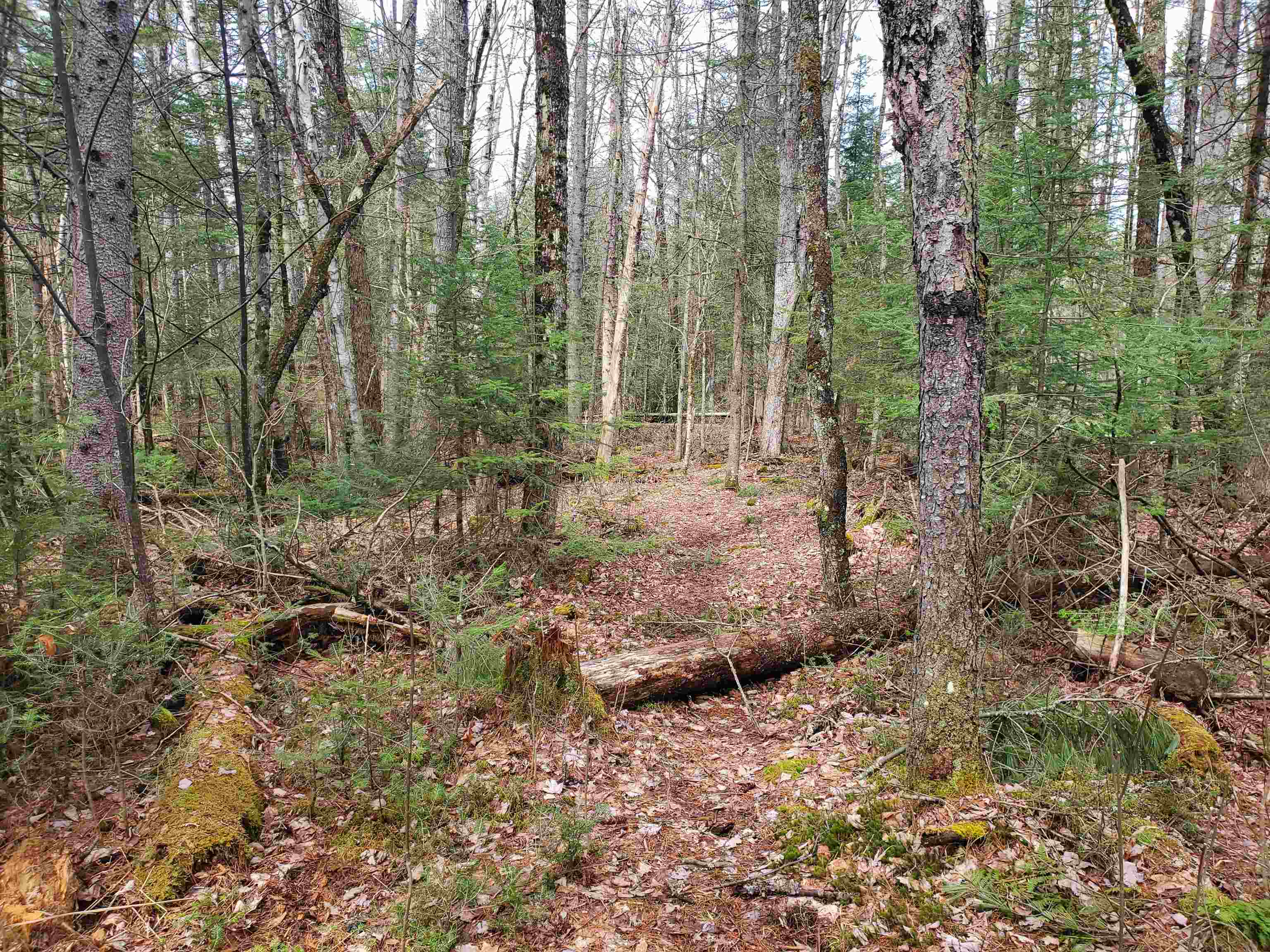 405-80 Cherry Valley Road Bethlehem, NH 03574 - Photo 10 of 22