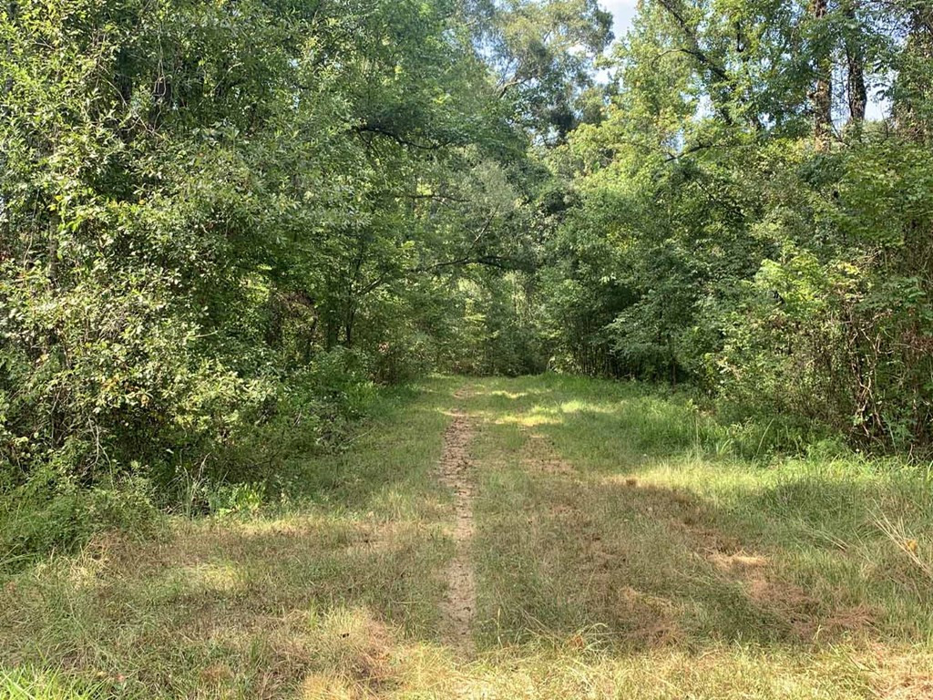 0 Garden City Road Roxie, MS 39661 - Photo 38 of 45 Photo 38