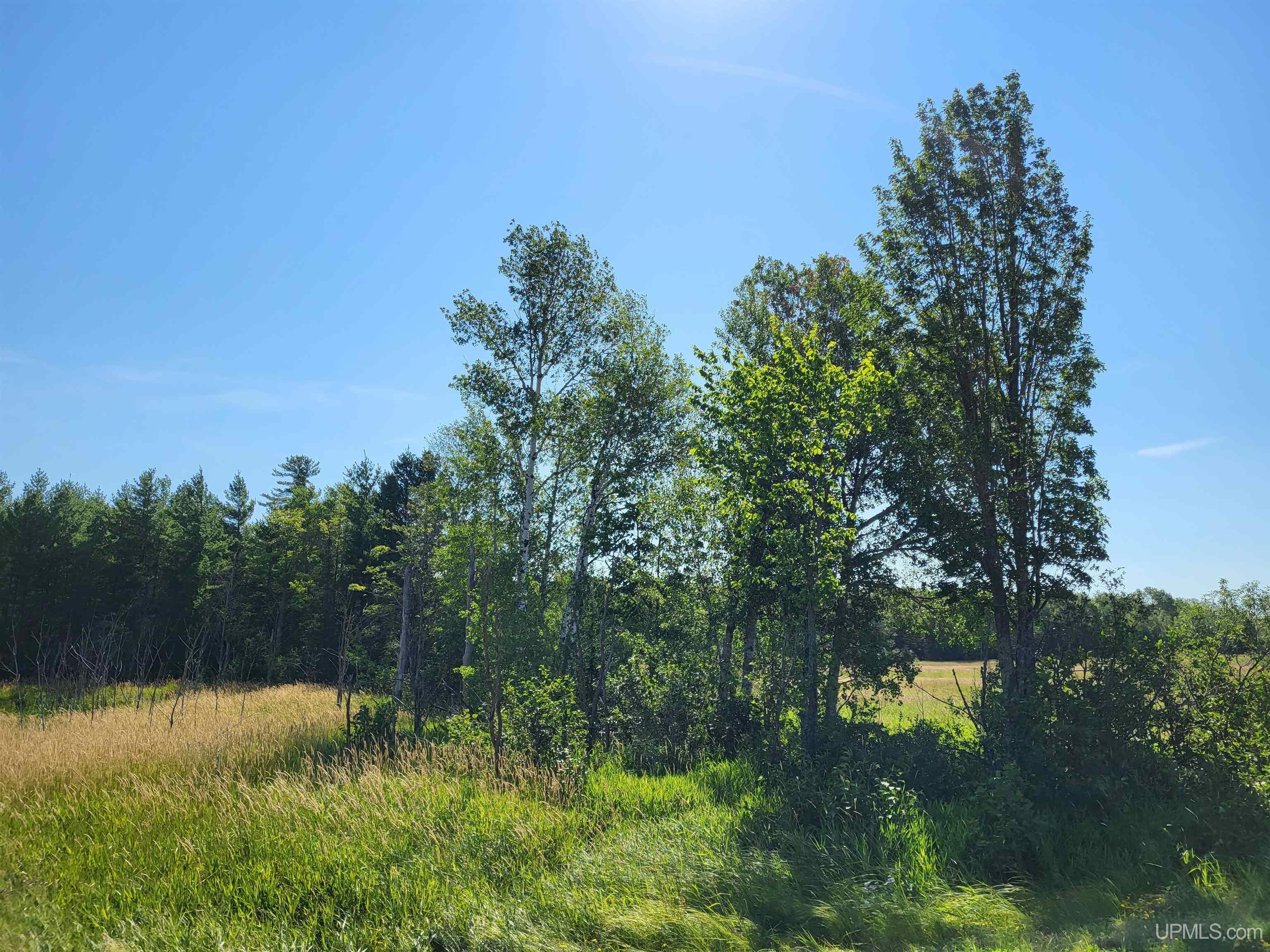 Tbd Tbd Hall Road Bruce Crossing, MI 49912 - Photo 4 of 7