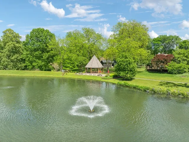 a view of a lake in middle of the river