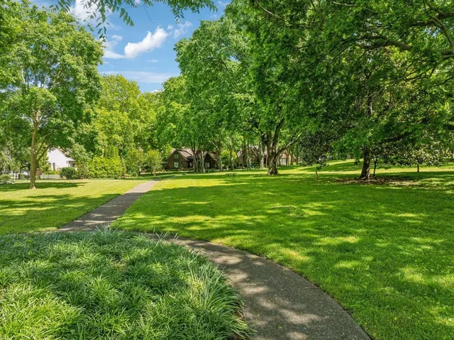 a view of a green field with a tree