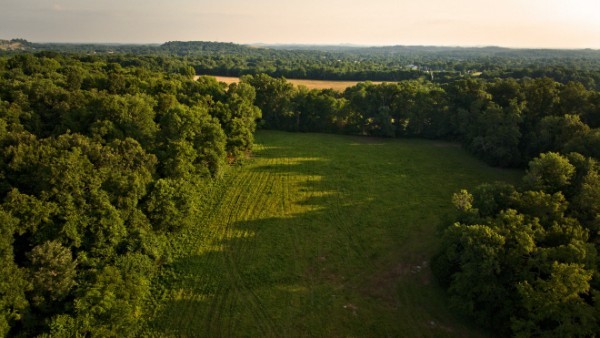 11 Phillips Road Lebanon, TN 37087 - Photo 5 of 19 Gallery Image 5