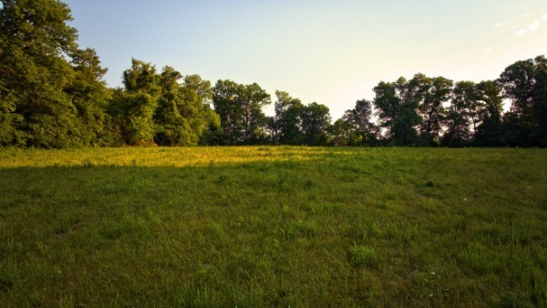11 Phillips Road Lebanon, TN 37087 - Photo 6 of 19 Gallery Image 6