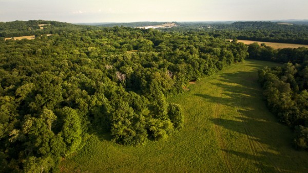 11 Phillips Road Lebanon, TN 37087 - Photo 8 of 19 Gallery Image 8