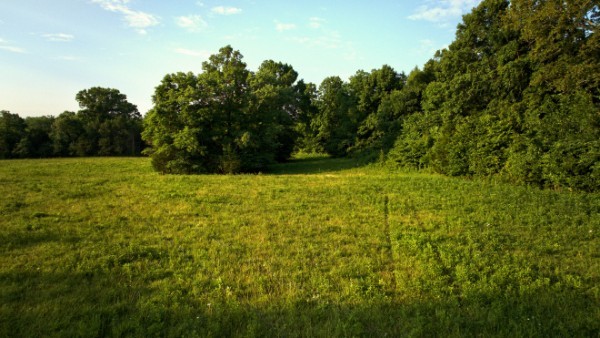 11 Phillips Road Lebanon, TN 37087 - Photo 9 of 19 Gallery Image 9