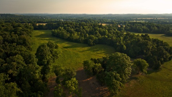 11 Phillips Road Lebanon, TN 37087 - Photo 10 of 19 Gallery Image 10