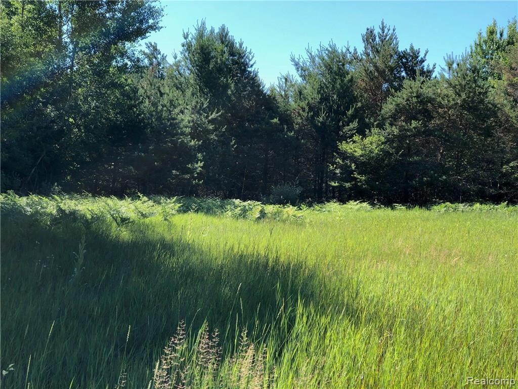 4545 East 14 Road Manton, MI 49663 - Photo 5 of 13