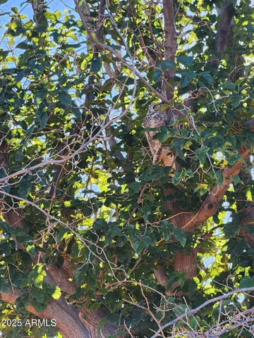 a view of beach and ocean