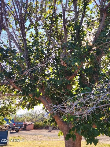 a view of lake with mountain