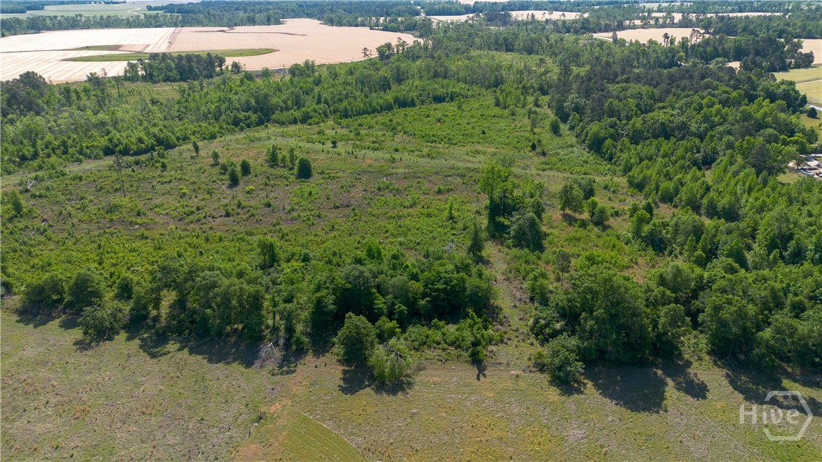 0 Scott Store Road Millen, GA 30442 - Photo 11 of 12