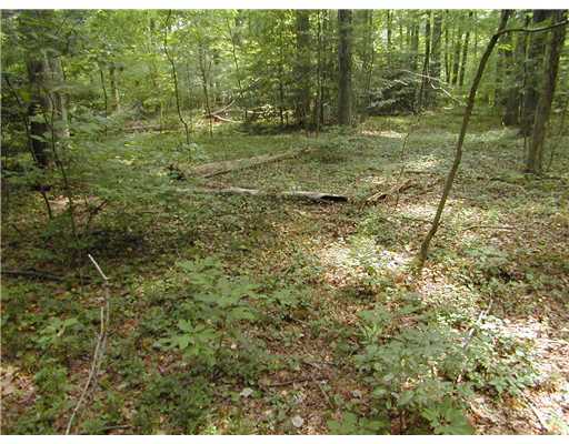 0 Half Mile Road, Unit 1 Darien, CT 06820 - Photo 5 of 7 a view of outdoor space and yard