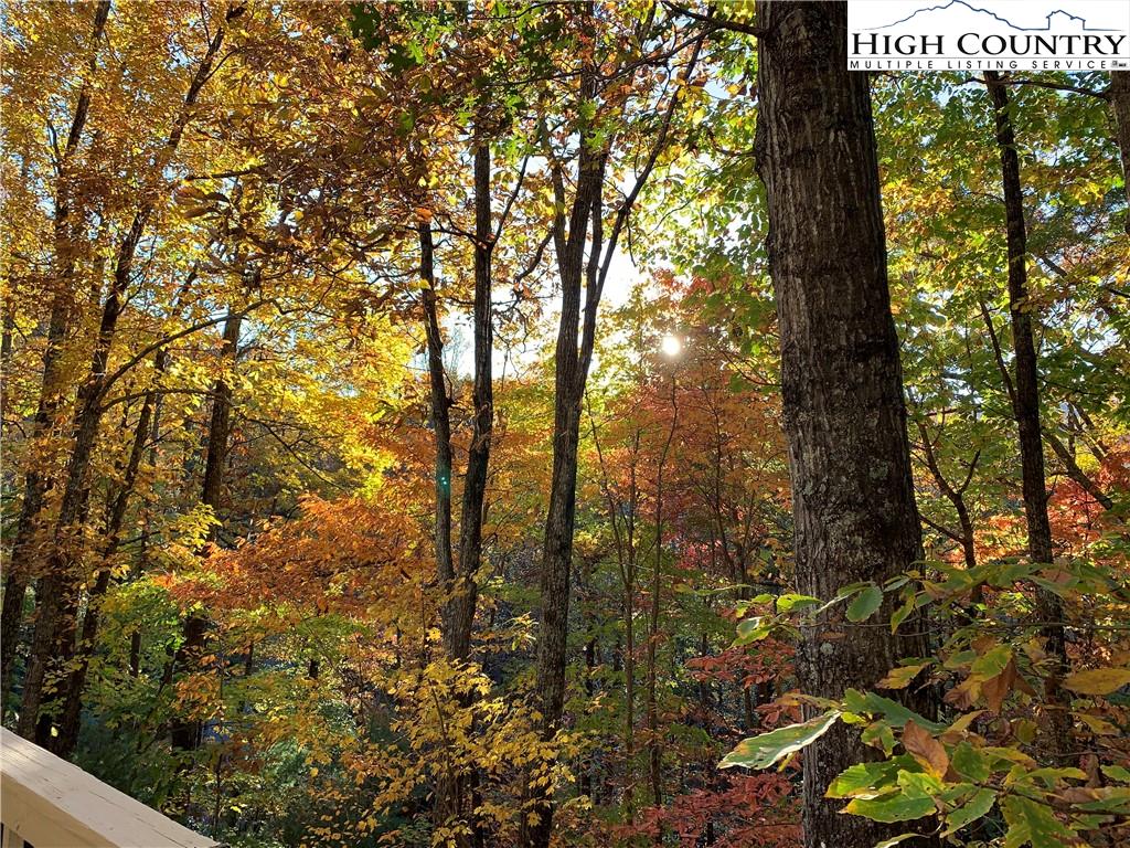 117 Horseshoe Ridge Road East Deep Gap, NC 28618 - Photo 14 of 50 a view of forest