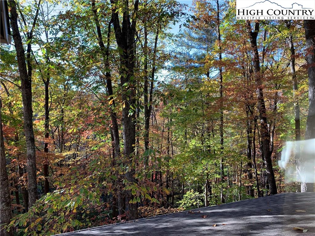 117 Horseshoe Ridge Road East Deep Gap, NC 28618 - Photo 15 of 50 a view of a pathway of a building