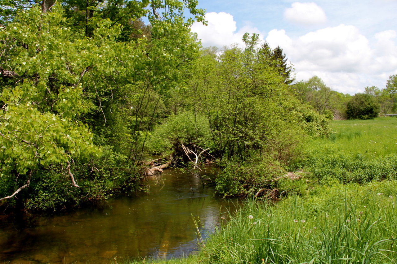 8 Cone Hill Road West Stockbridge, MA 01266 - Photo 11 of 38 River