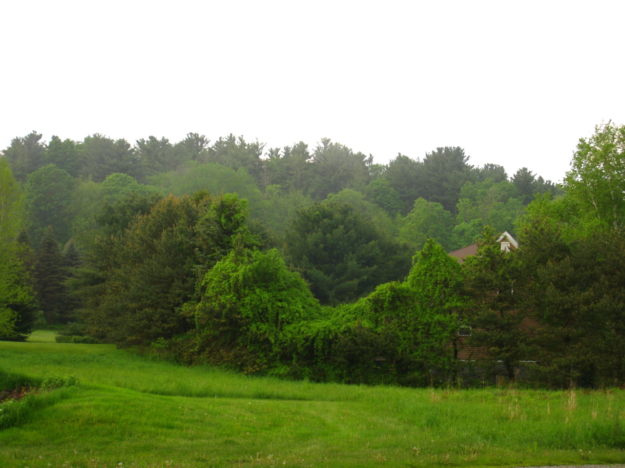 8 Cone Hill Road West Stockbridge, MA 01266 - Photo 16 of 38 west views