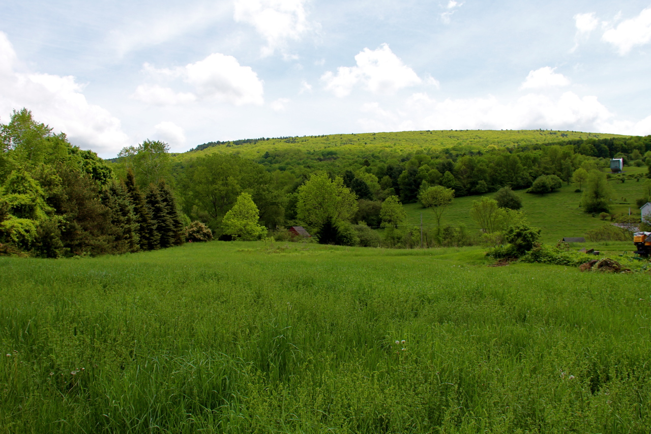 8 Cone Hill Road West Stockbridge, MA 01266 - Photo 3 of 38 East views