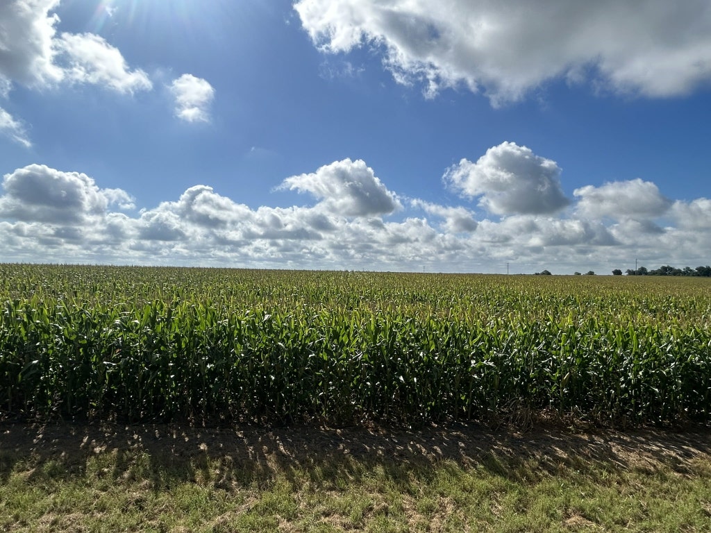 Tbd2 Apple Cider Road Temple, TX 76501 - Photo 14 of 17 a view of a lake in a city