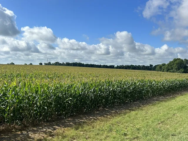 $997,500 | Tbd2 Apple Cider Road, Temple, TX 76501