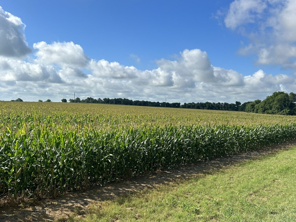 Tbd2 Apple Cider Road Temple, TX 76501 - Photo 15 of 17 a view of a lake