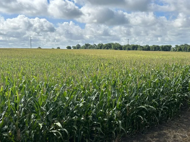 a view of an outdoor space and a lake view