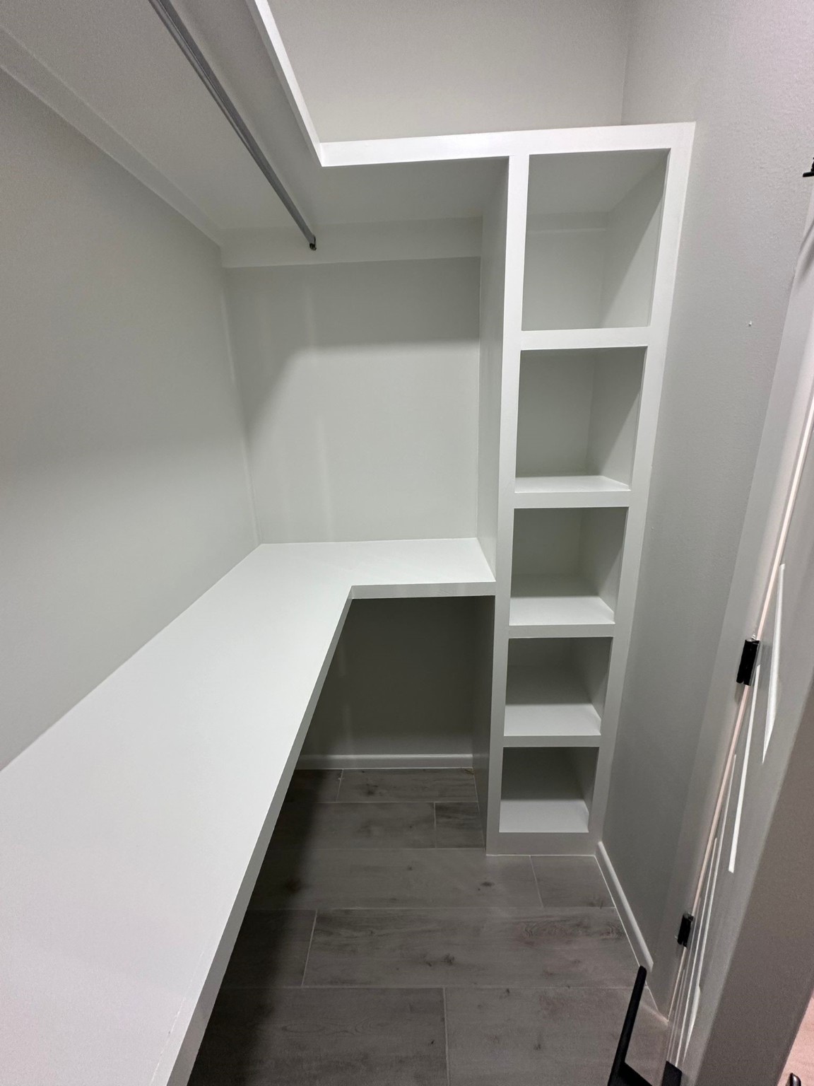 1409 South Xanthia Street Alton, TX 78573 - Photo 13 of 14 a view of walk in closet with empty racks