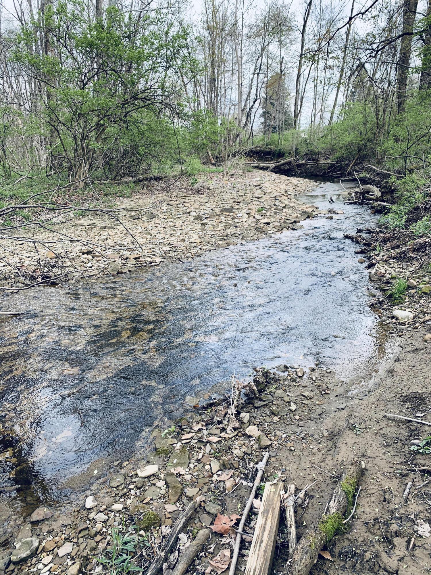 9865 Old Delaware Road Mount Vernon, OH 43050 - Photo 1 of 4 Stream
