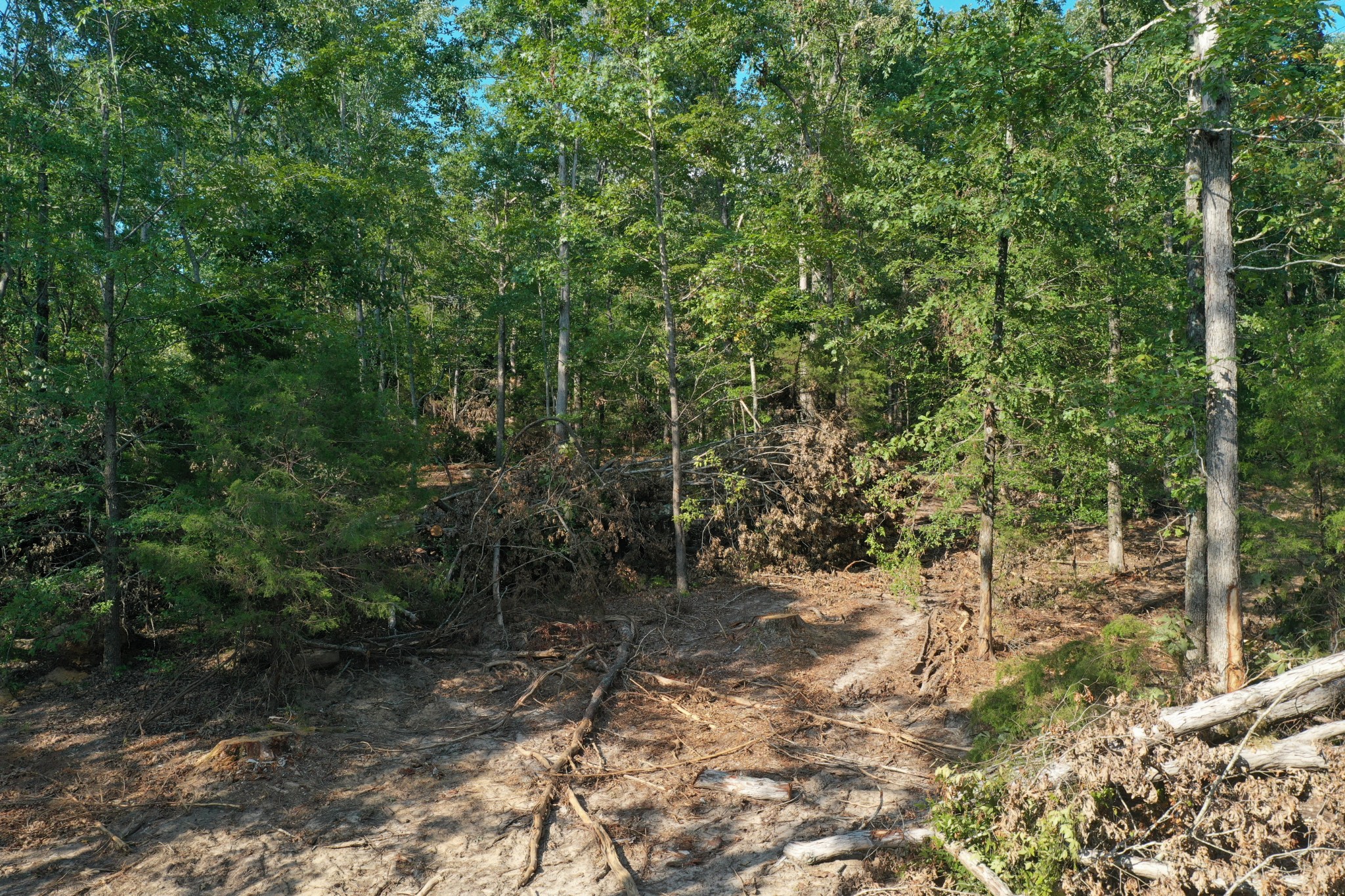 958 Crawford School Road Decaturville, TN 38329 - Photo 3 of 3 Gallery Image 3