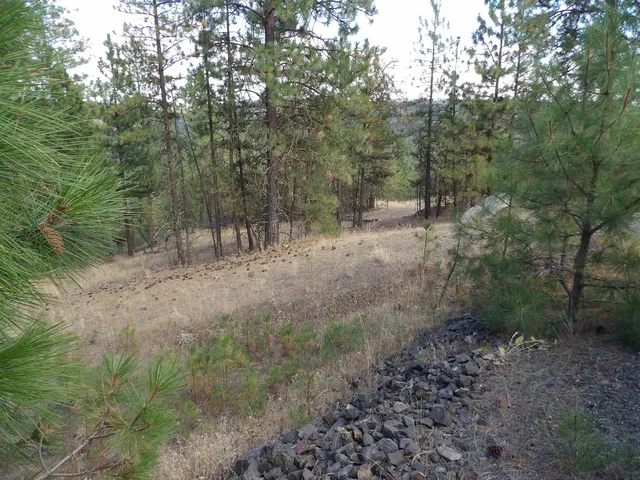 $88,000 | 31905 East Ruffed Grouse Drive, Davenport, WA 99122