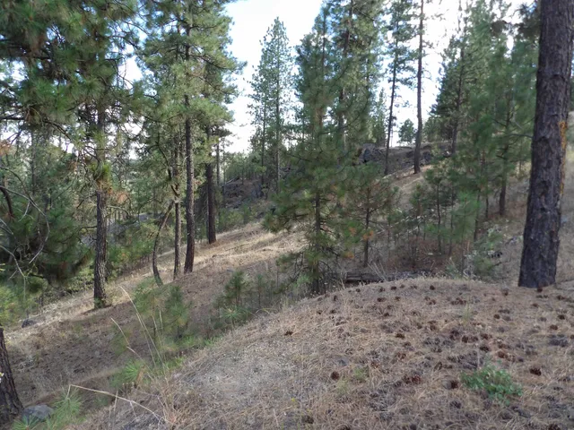 $88,000 | 31905 East Ruffed Grouse Drive, Davenport, WA 99122