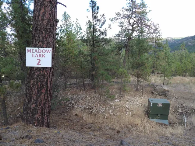 $88,000 | 31905 East Ruffed Grouse Drive, Davenport, WA 99122