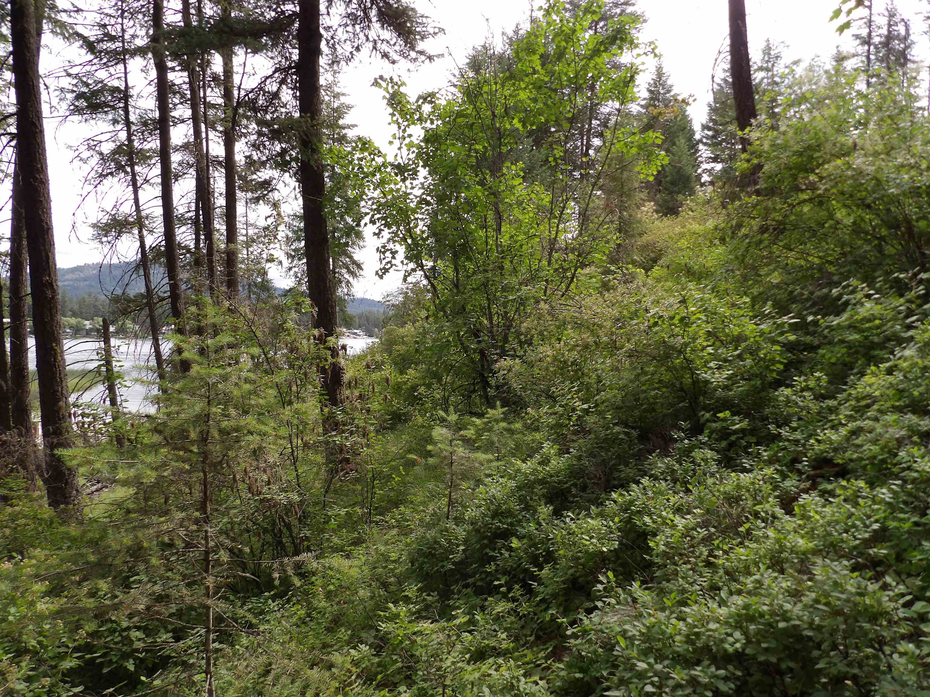 31905 East Ruffed Grouse Drive Davenport, WA 99122 - Photo 14 of 14