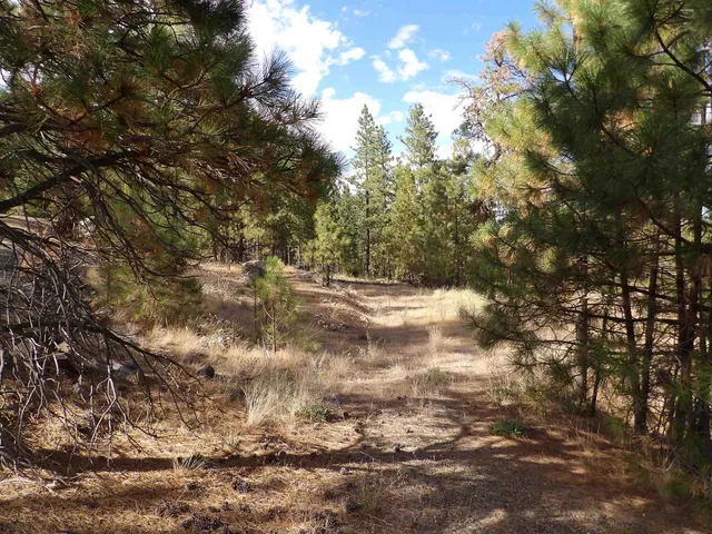 $88,000 | 31905 East Ruffed Grouse Drive, Davenport, WA 99122