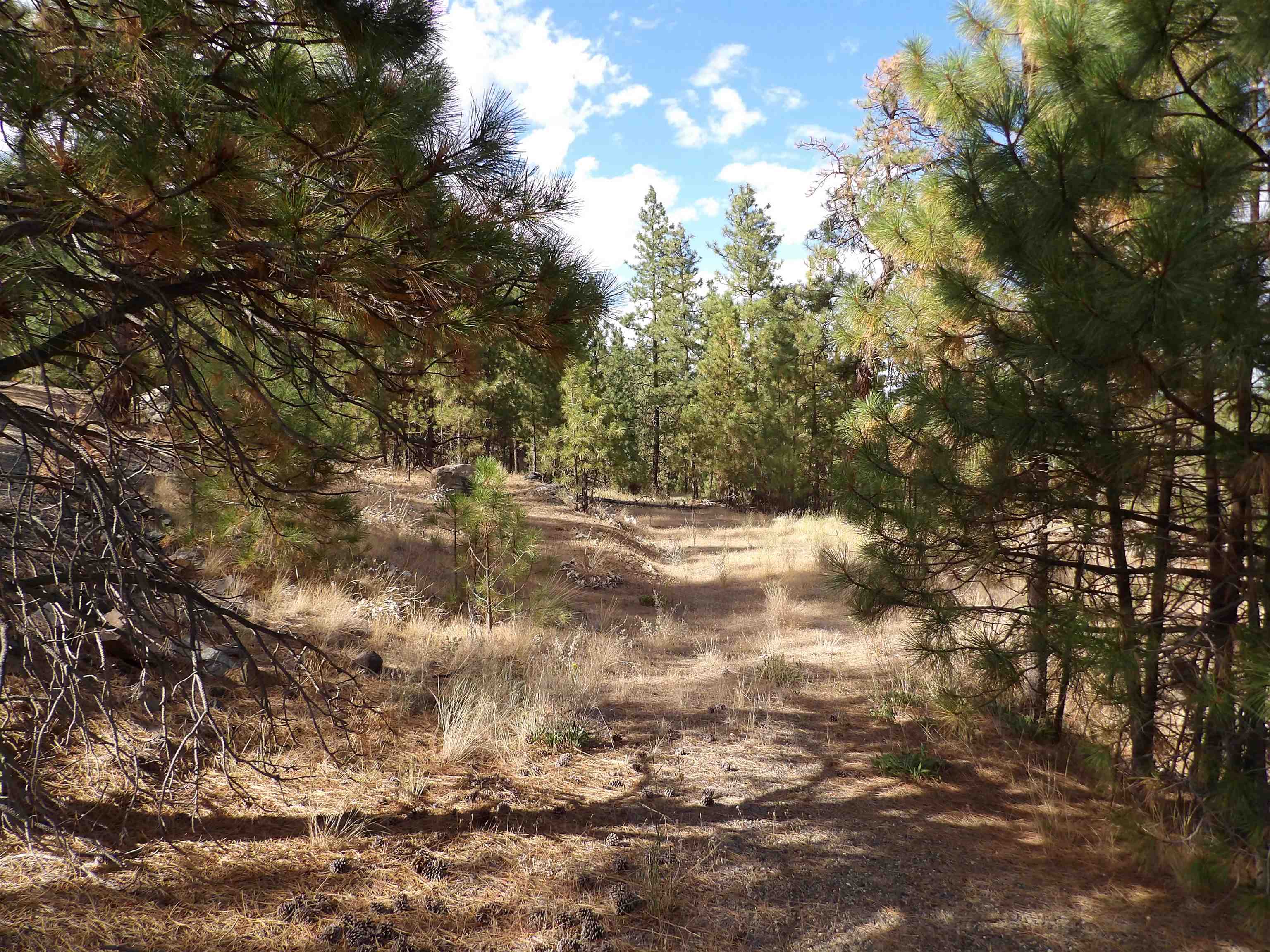 31905 East Ruffed Grouse Drive Davenport, WA 99122 - Photo 10 of 14